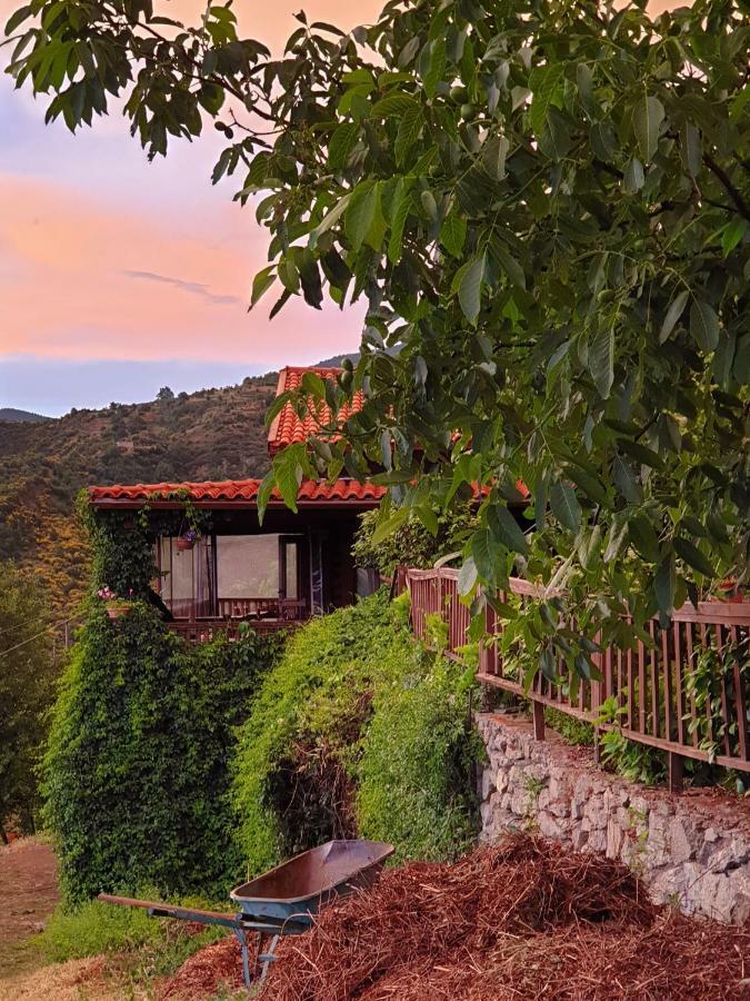 Alagonia Country Homes Exterior photo